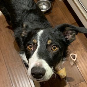 Meet your Posher, Carolyn